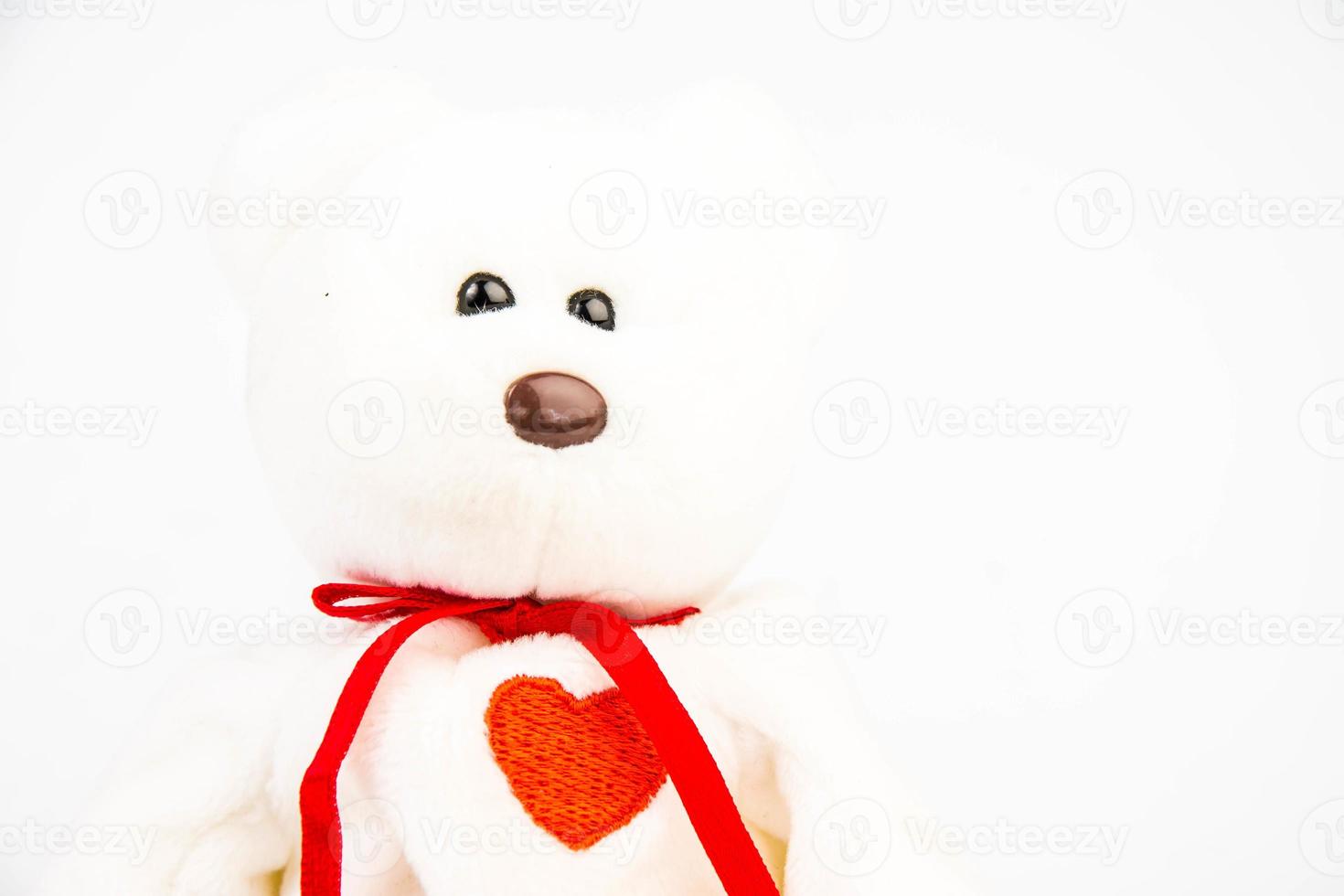 ours en peluche sur fond blanc photo