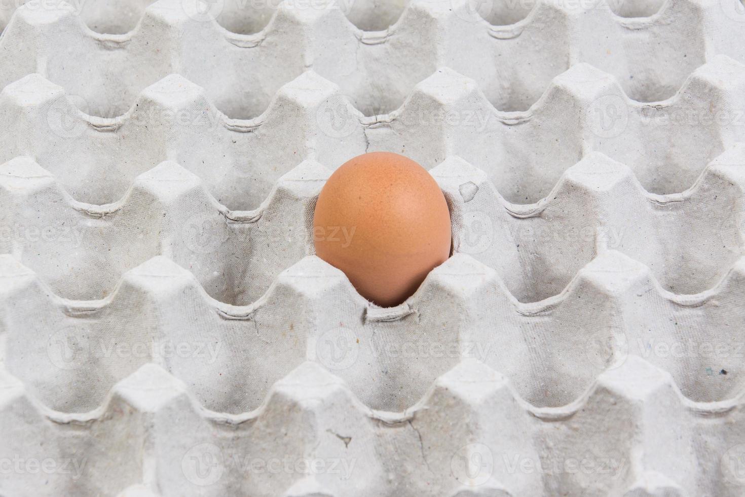 Oeuf dans une caisse à oeufs sur fond blanc photo