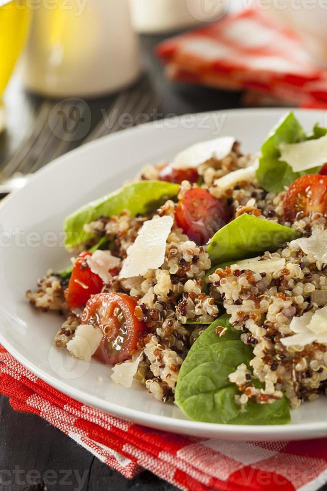 salade de quinoa végétarienne saine photo