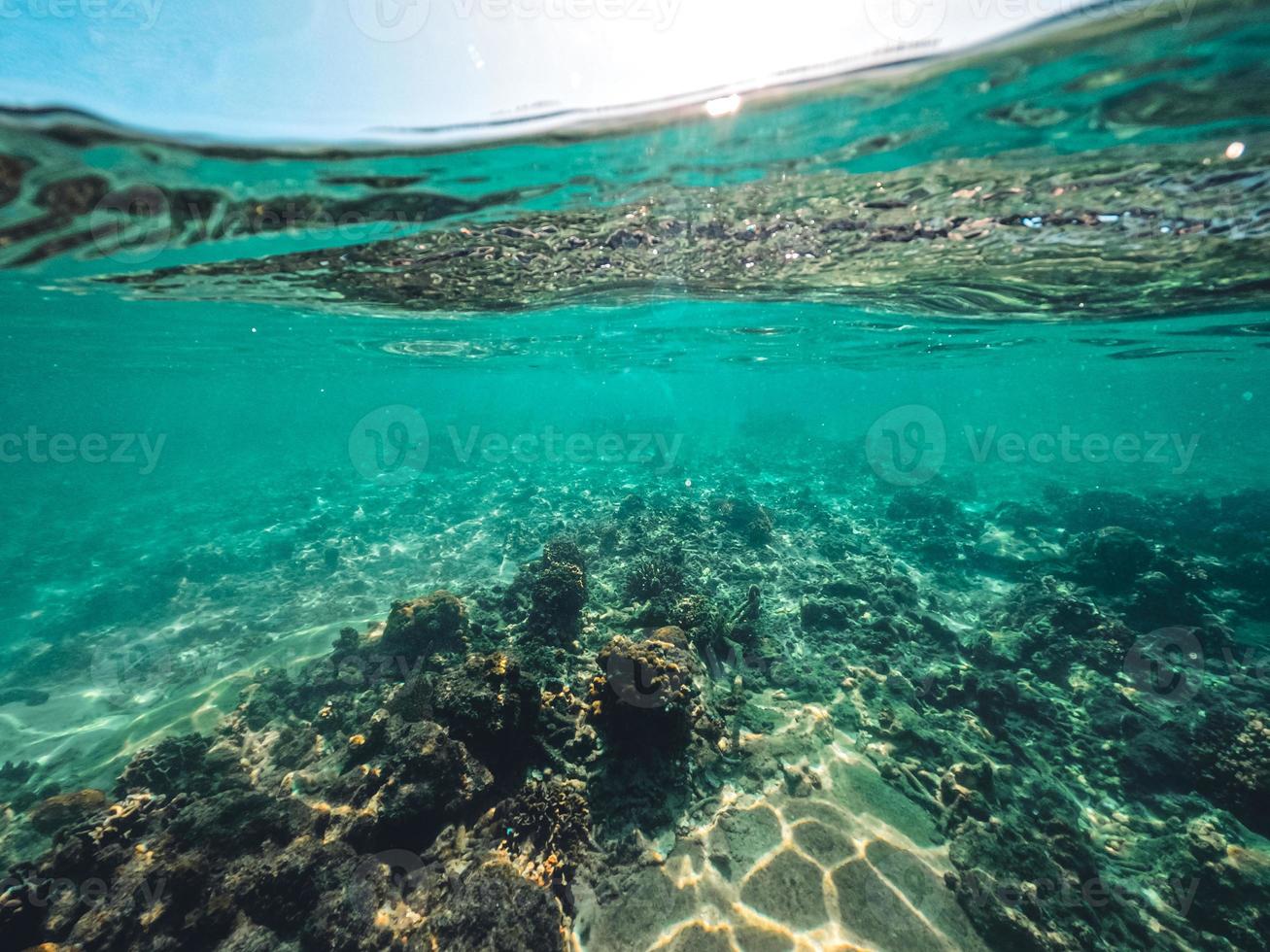 sous l'eau à la plage de l'île photo