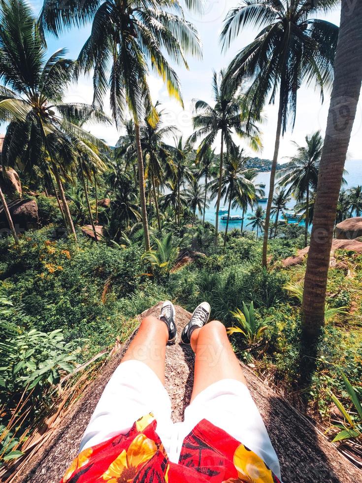 plages et cocotiers sur une île tropicale photo