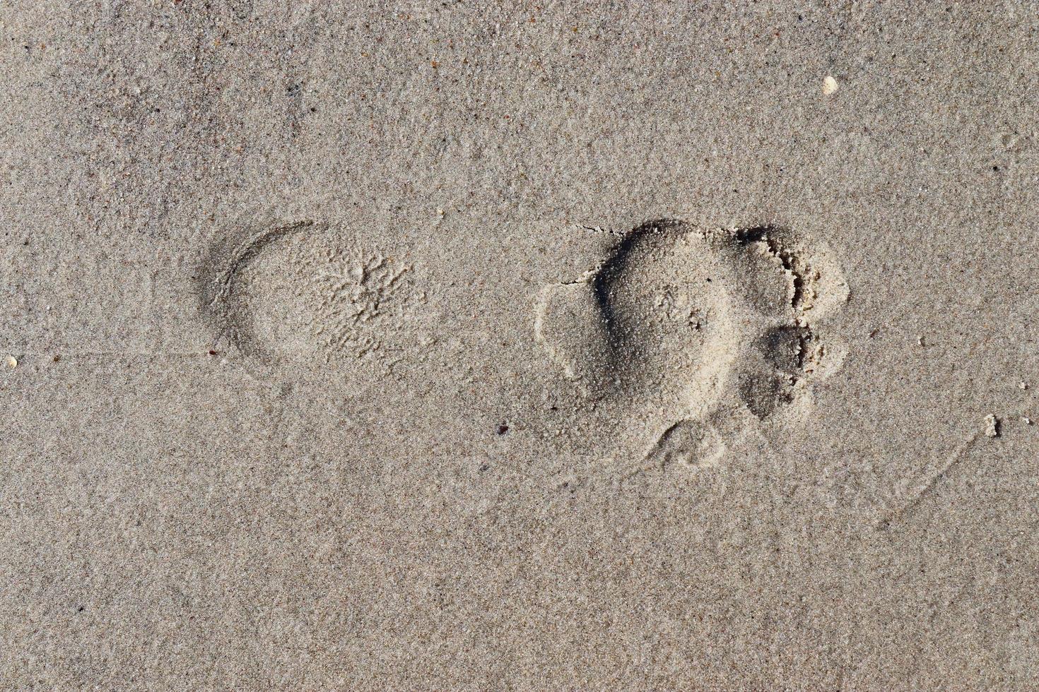 belles empreintes détaillées dans le sable d'une plage en été. copier l'arrière-plan de l'espace photo