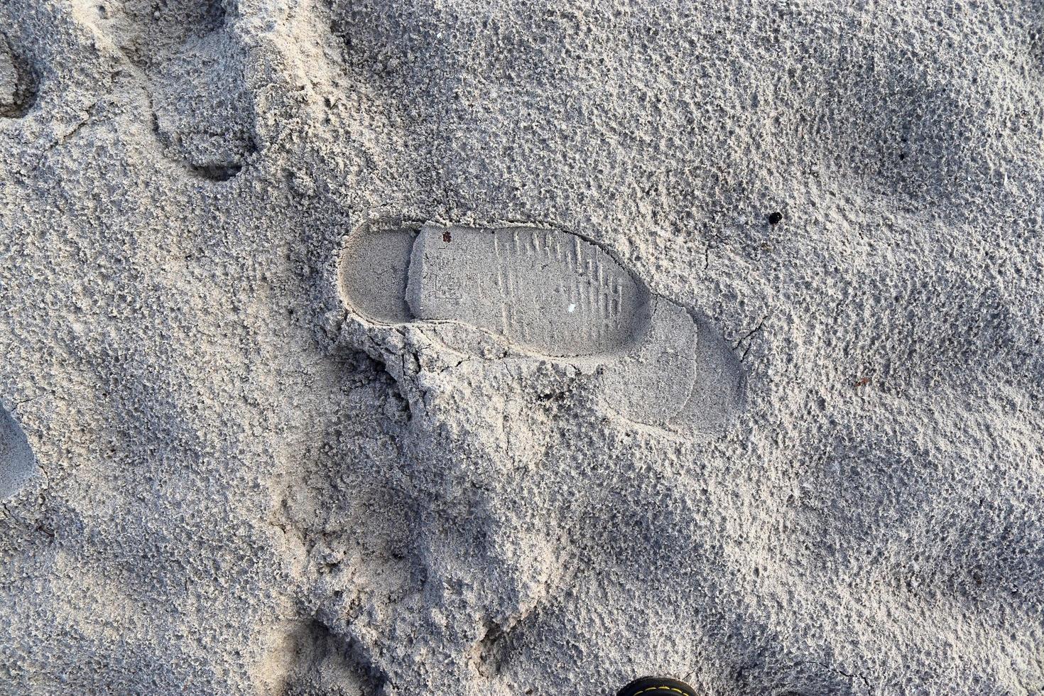 vue rapprochée détaillée sur le sable d'une plage de la mer baltique photo