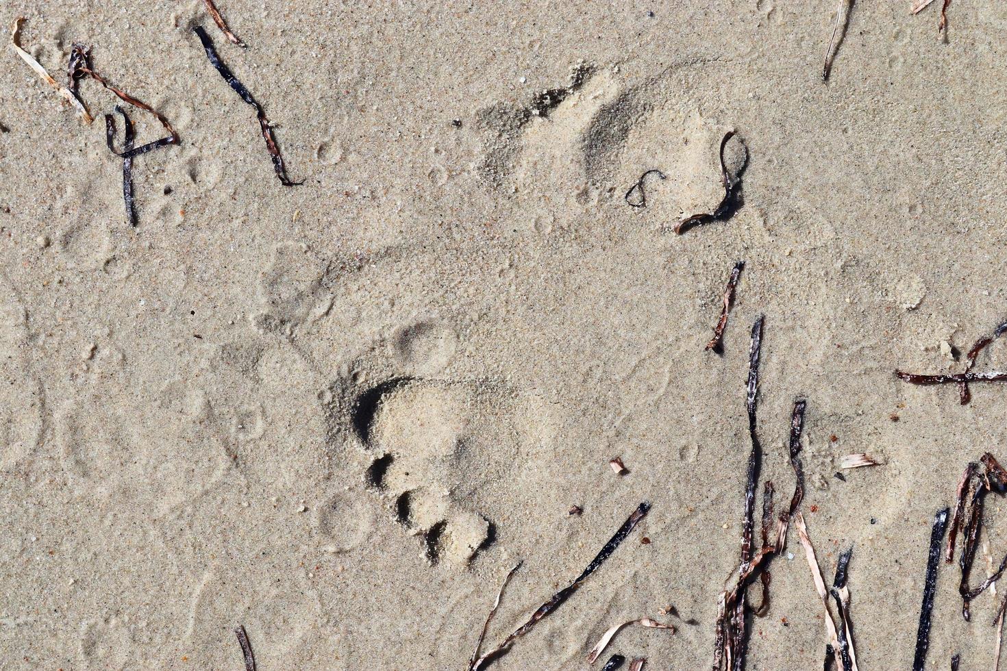 belles empreintes détaillées dans le sable d'une plage en été. copier l'arrière-plan de l'espace photo