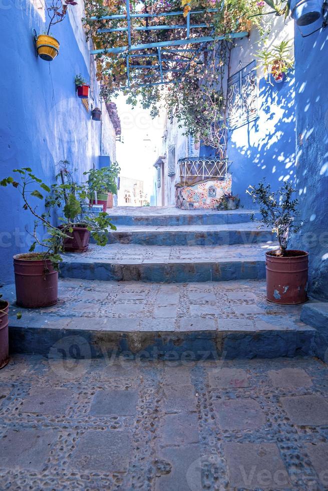 ruelle étroite d'escalier avec des plantes en pot menant à des structures résidentielles des deux côtés photo