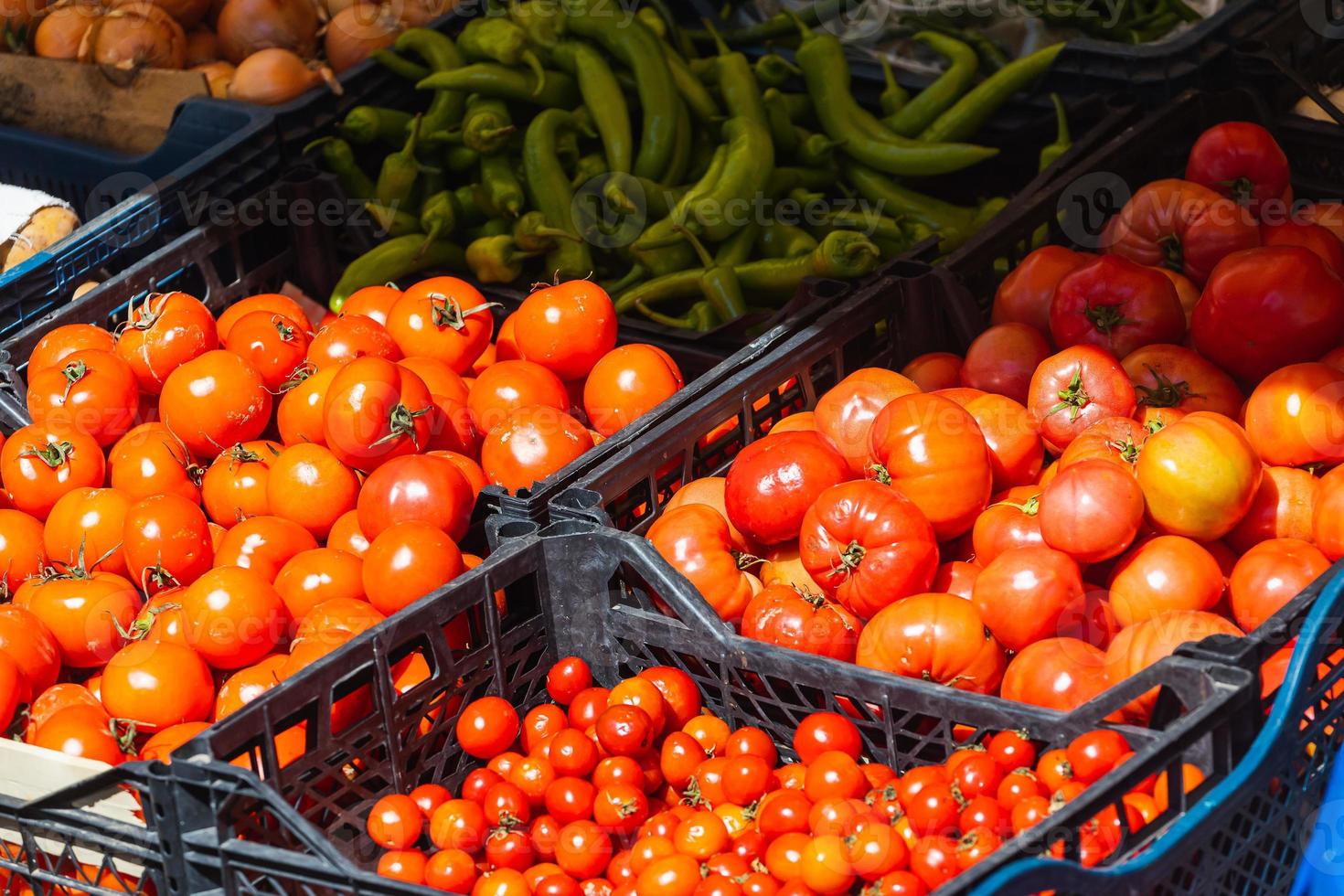 fond de tomates. variété de tomates fraîches cultivées dans le magasin. tomates pour salade, entrée et soupe photo