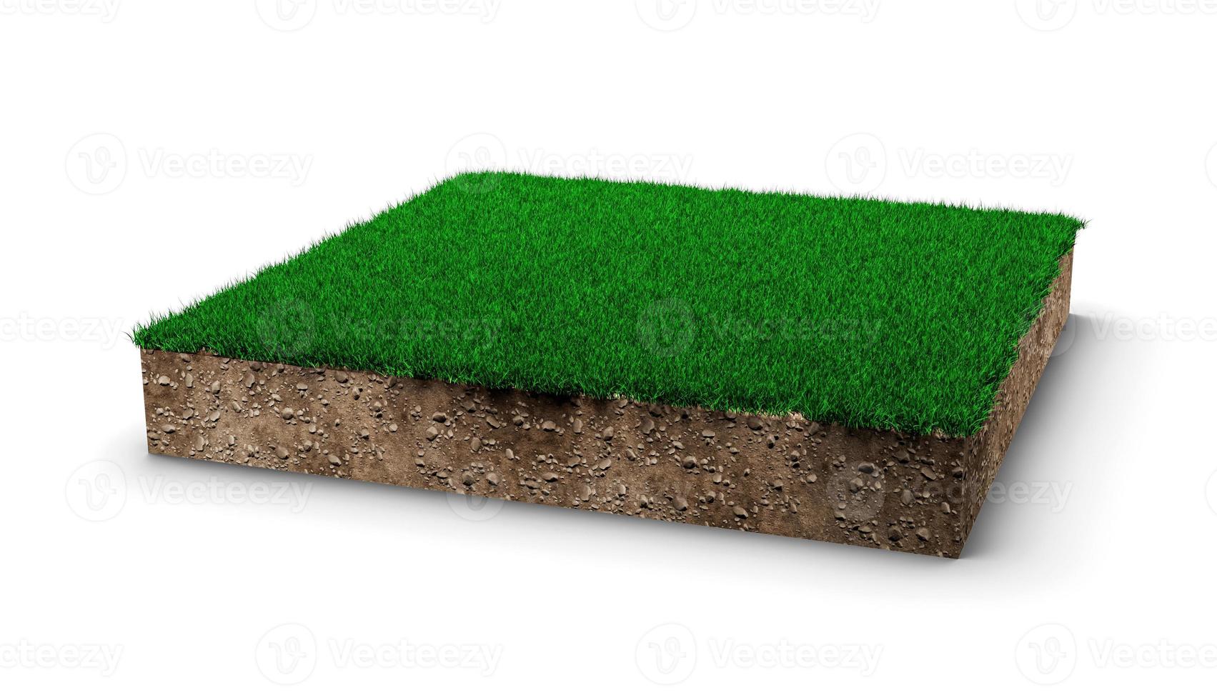 carré de champ d'herbe verte sur fond blanc herbe verte et section transversale de la texture du sol rocheux avec illustration 3d photo