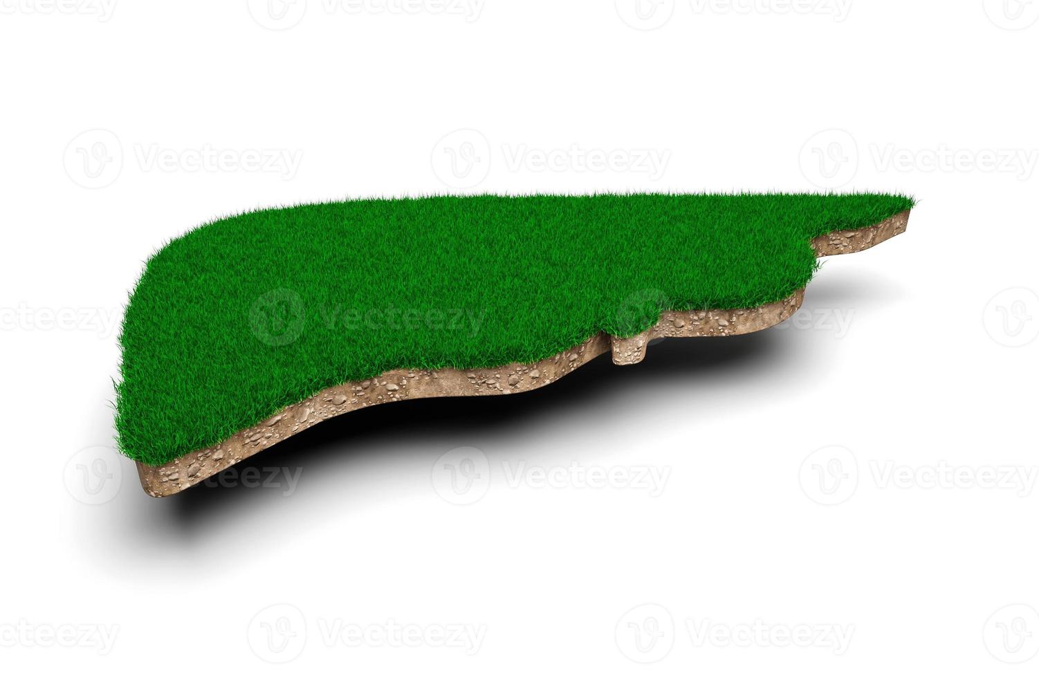 forme de foie faite d'herbe verte et de section transversale de texture de sol rocheux avec illustration 3d photo