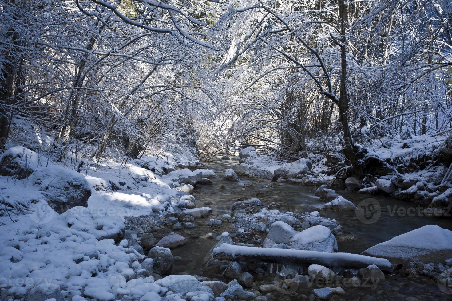 ruisseau en hiver photo