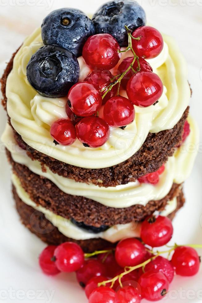 gâteau maison aux baies photo