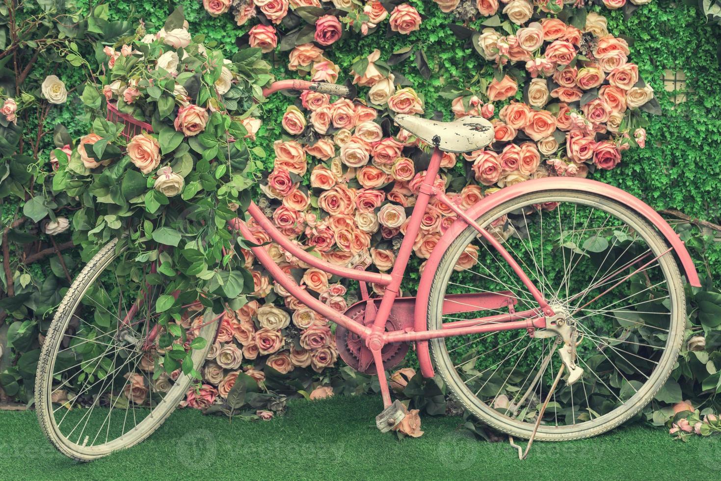 fleurs et vélo photo