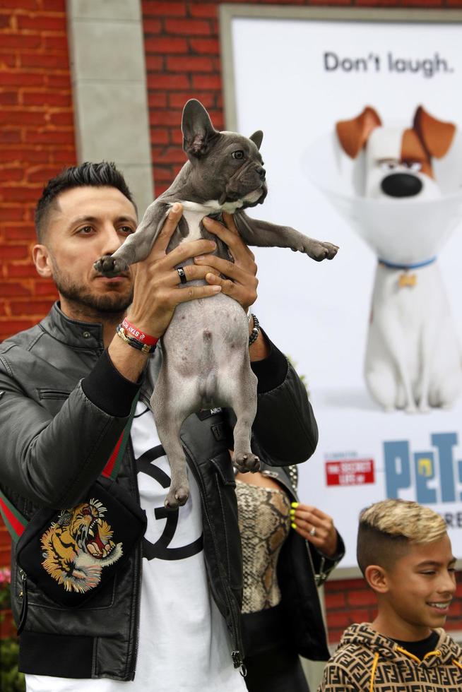 los angeles 2 juin - andrea espadas chien à la vie secrète des animaux de compagnie 2 première au théâtre du village le 2 juin 2019 à westwood, ca photo