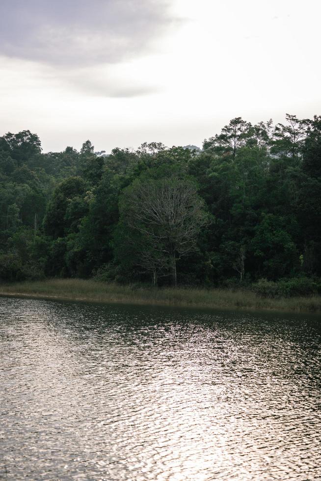 belle nature, ciel, arbres, ambiance de soirée au parc national de khao yai, thaïlande photo