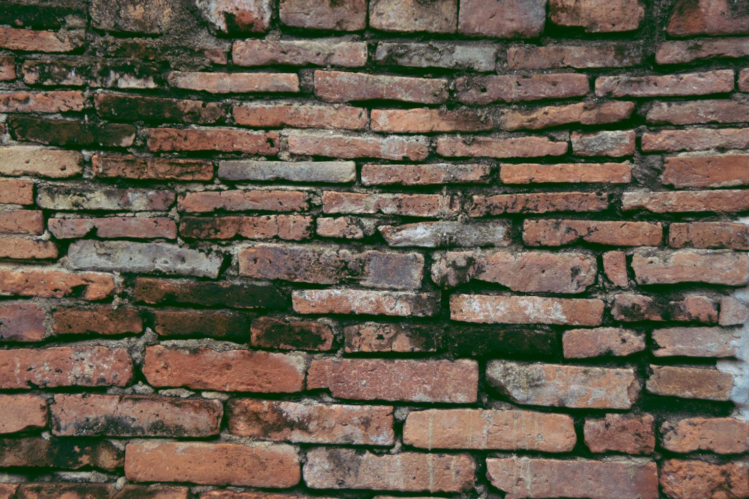 vieux mur de briques rouges dans le parc historique. photo