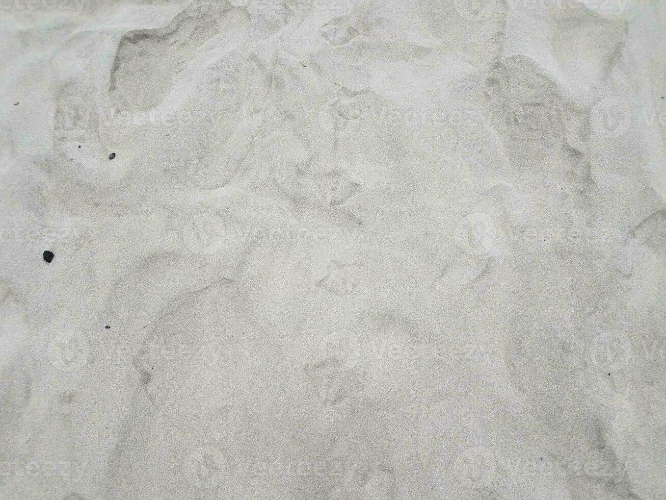 Empreintes ou traces d'oiseaux sur du sable sec photo