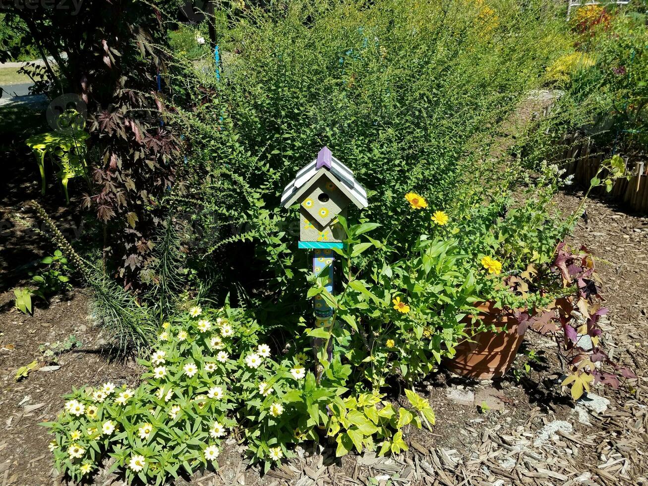 Sentier de paillis ou chemin avec des plantes dans le jardin avec nichoir photo