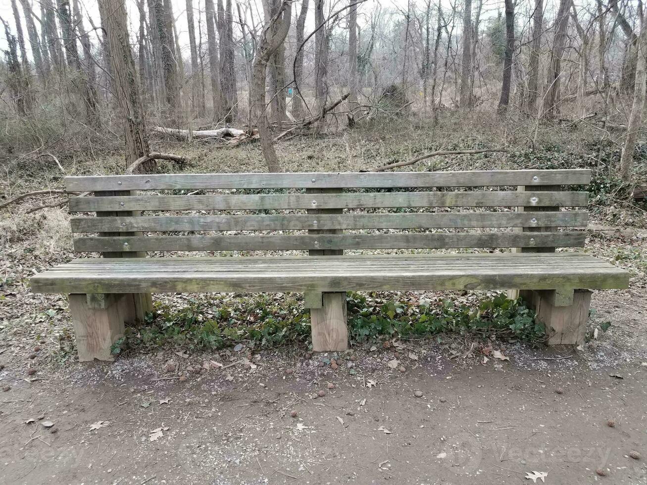 banc ou siège en bois avec des arbres dans les bois photo