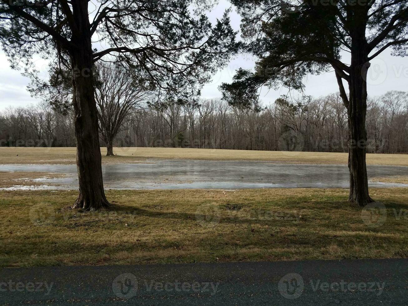 glace et eau dans le champ d'herbe avec arbres et route photo