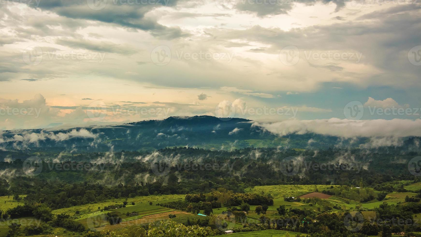 montagnes avec arbres et brouillard en thaïlande photo