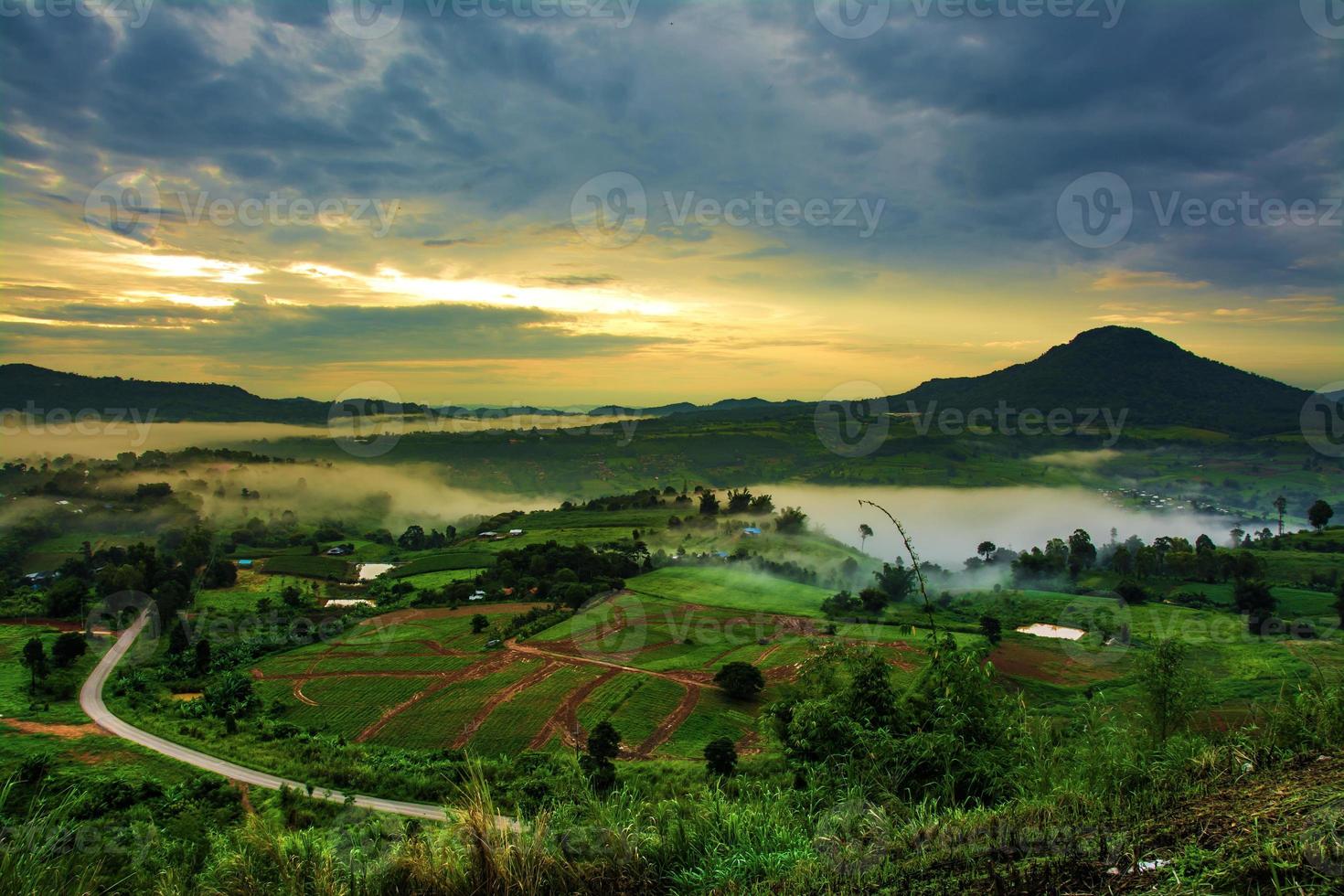 montagnes avec arbres et brouillard en thaïlande photo