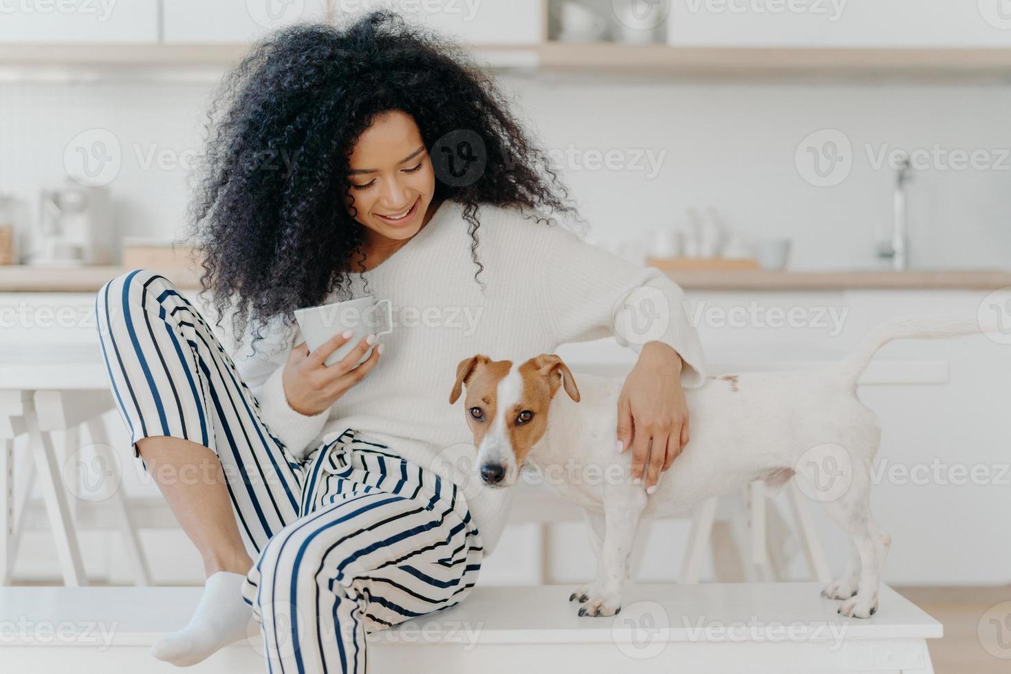 une jeune femme frisée positive boit une boisson aromatique, joue avec un chien, pose contre un intérieur de cuisine confortable, exprime l'amour, la solidarité et l'amitié entre les animaux et les gens. ambiance domestique photo