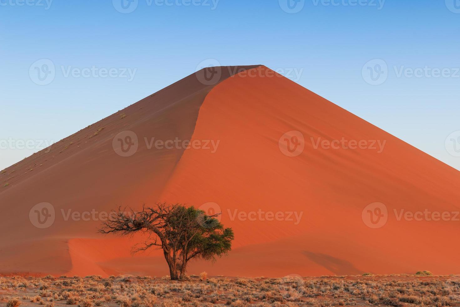 coucher de soleil spectaculaire dunes de sable rouge sossusvlei photo
