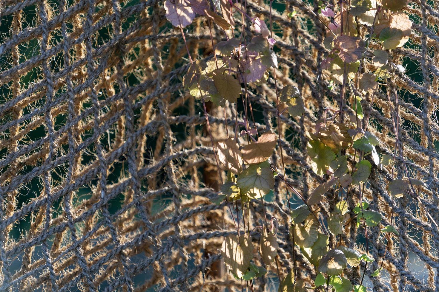 fond naturel en maille de jute décorative photo