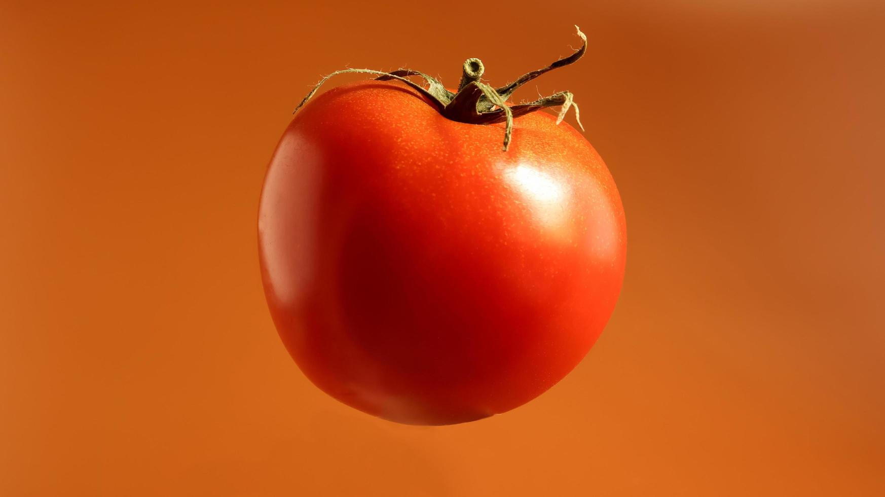 une tomate rouge fraîche et savoureuse. baie multicellulaire juteuse. une herbe annuelle ou vivace. culture végétale. tomate juteuse avec tige verte. photo