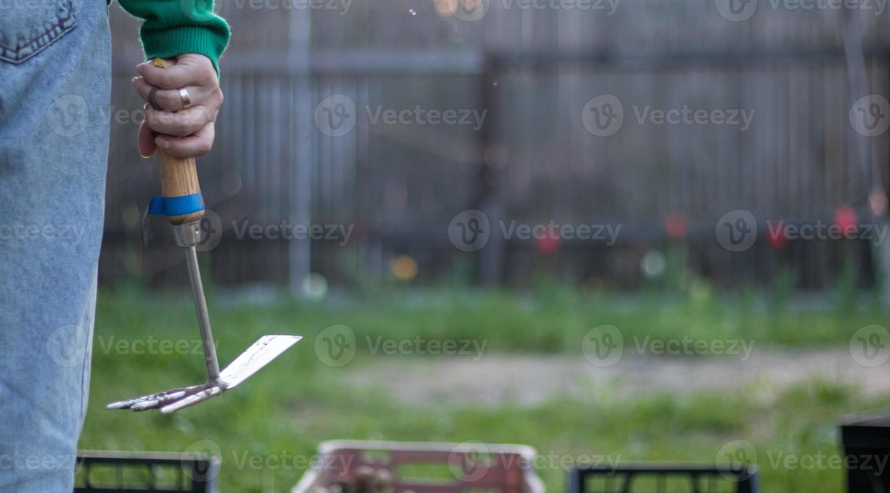 jardinier femme caucasienne dans le jardin montre un râteau. le concept de jardinage et d'été durable. main de femme avec un outil de jardin. râteau hachoir pour le jardinage entre les mains des femmes. place pour le texte. photo