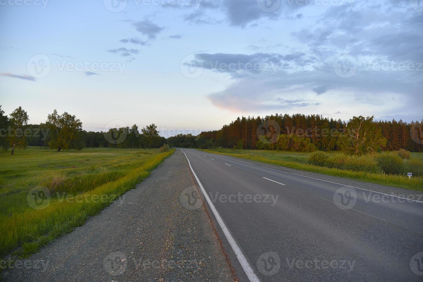 route goudronnée dans la forêt le soir photo