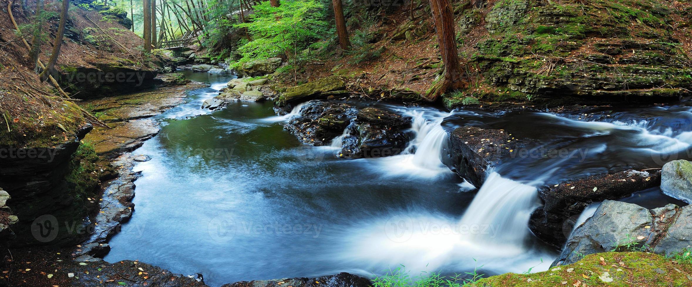 panorama du ruisseau de la forêt photo