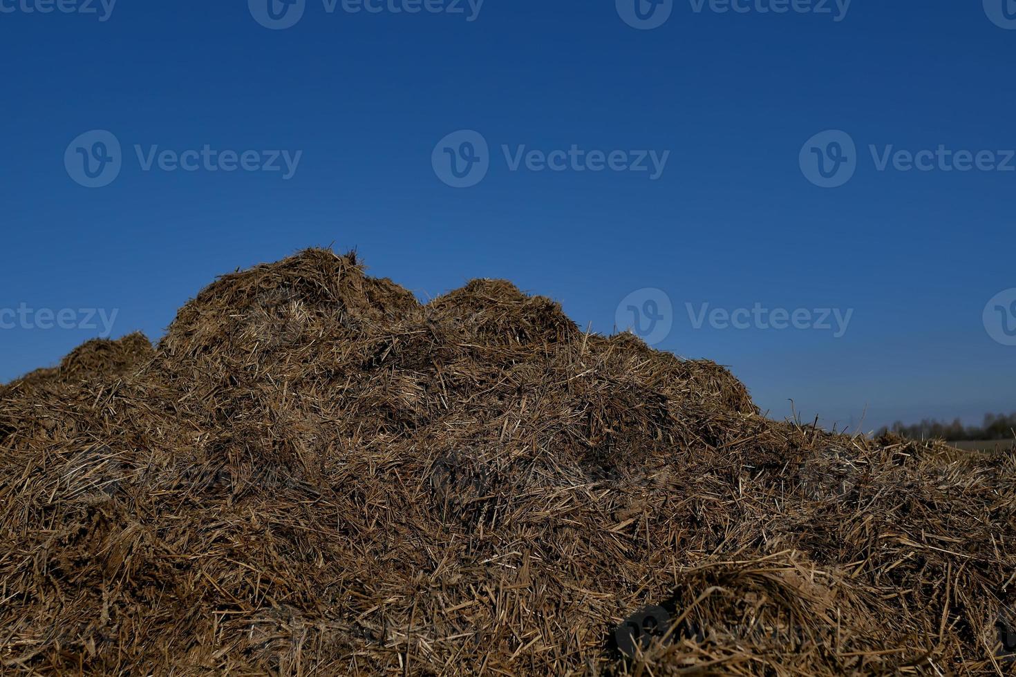 préparer le sol pour la plantation. engrais organique et fond de texture du sol. vue de dessus. photo