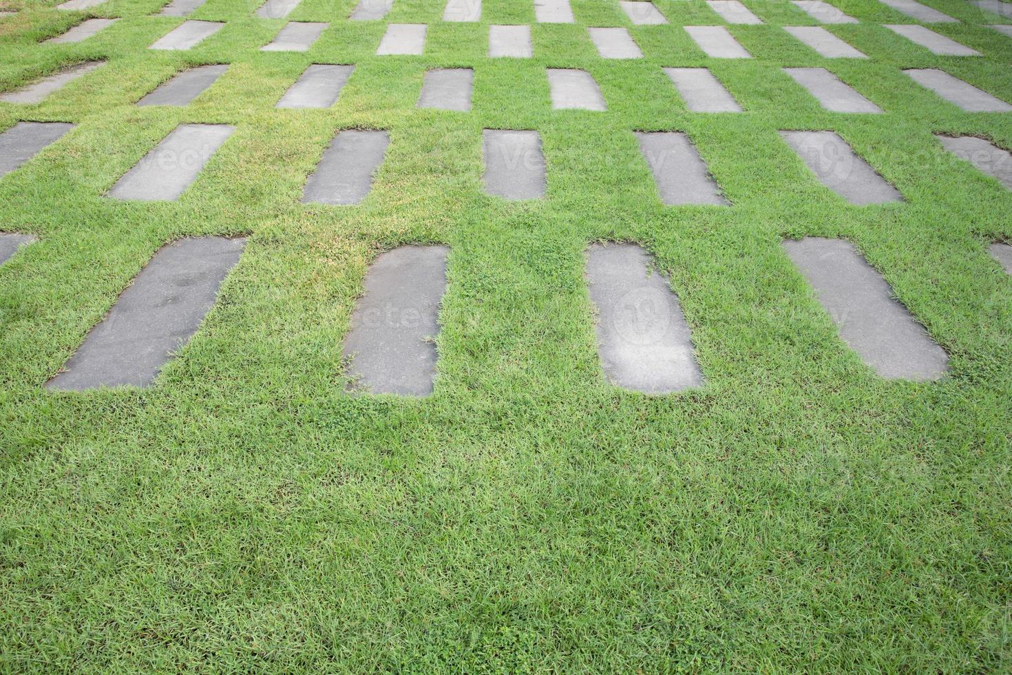 les briques de ciment entre fond d'herbe verte. chaussée en gazon et ciment. photo