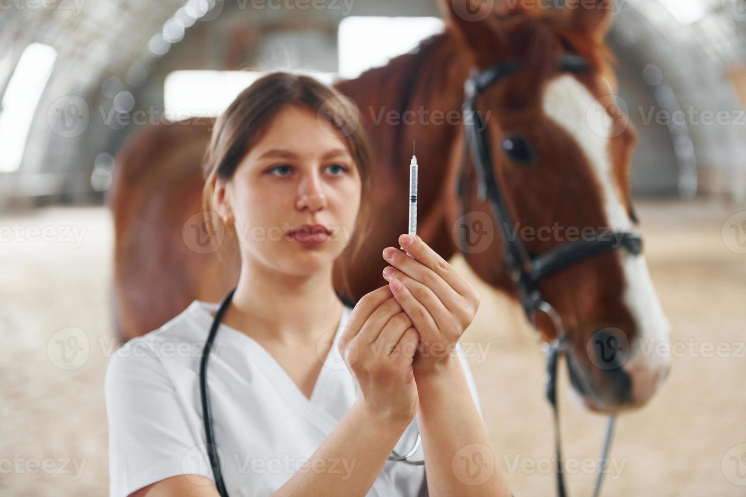 préparer la seringue pour une piqûre. femme médecin en blouse blanche est à cheval sur une écurie photo