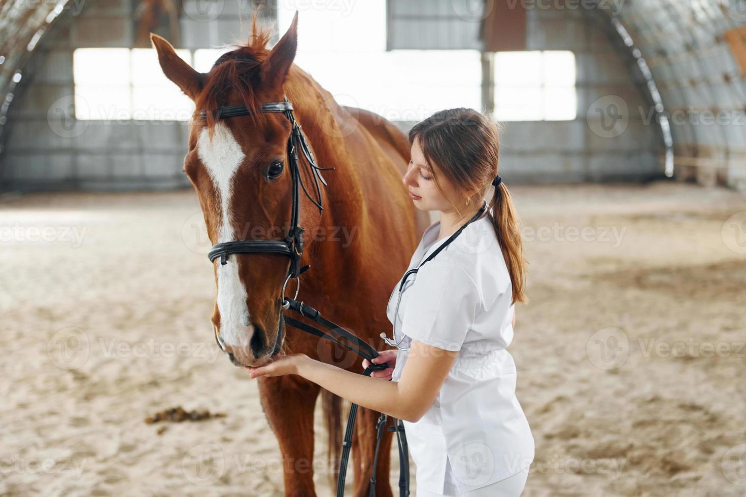 conception de vétérinaire. femme médecin en blouse blanche est à cheval sur une écurie photo