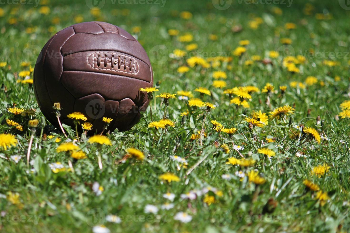 football en cuir rétro sur un terrain en herbe photo