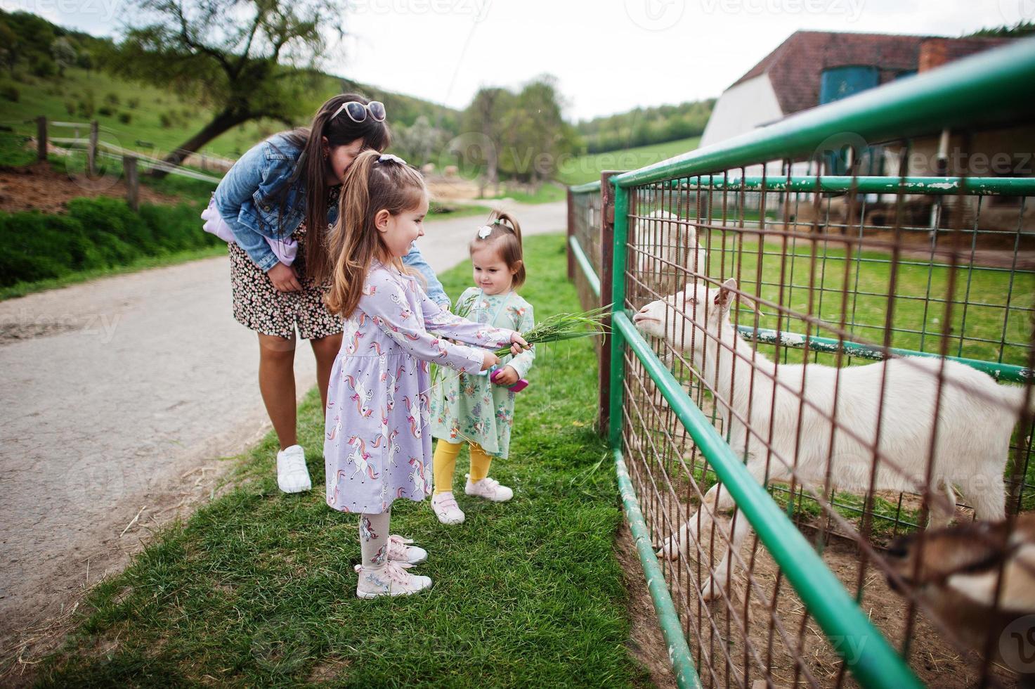 mère avec enfants sur une ferme écologique animale nourrit des chèvres. photo