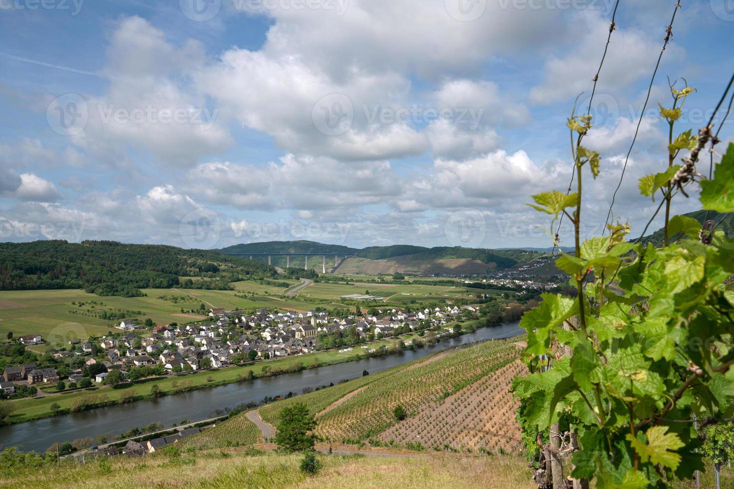 Moselle près de Traben Trarbach, Allemagne photo