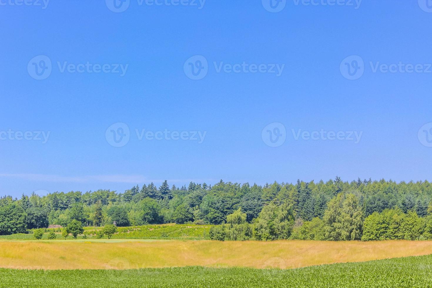 champ agricole nord-allemand forêt arbres nature paysage panorama allemagne. photo