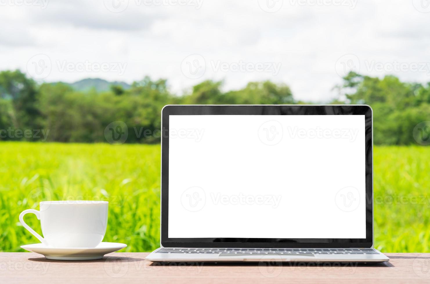 ordinateur portable et tasse cofree sur le terrain en herbe de l'agent de planche de bois photo
