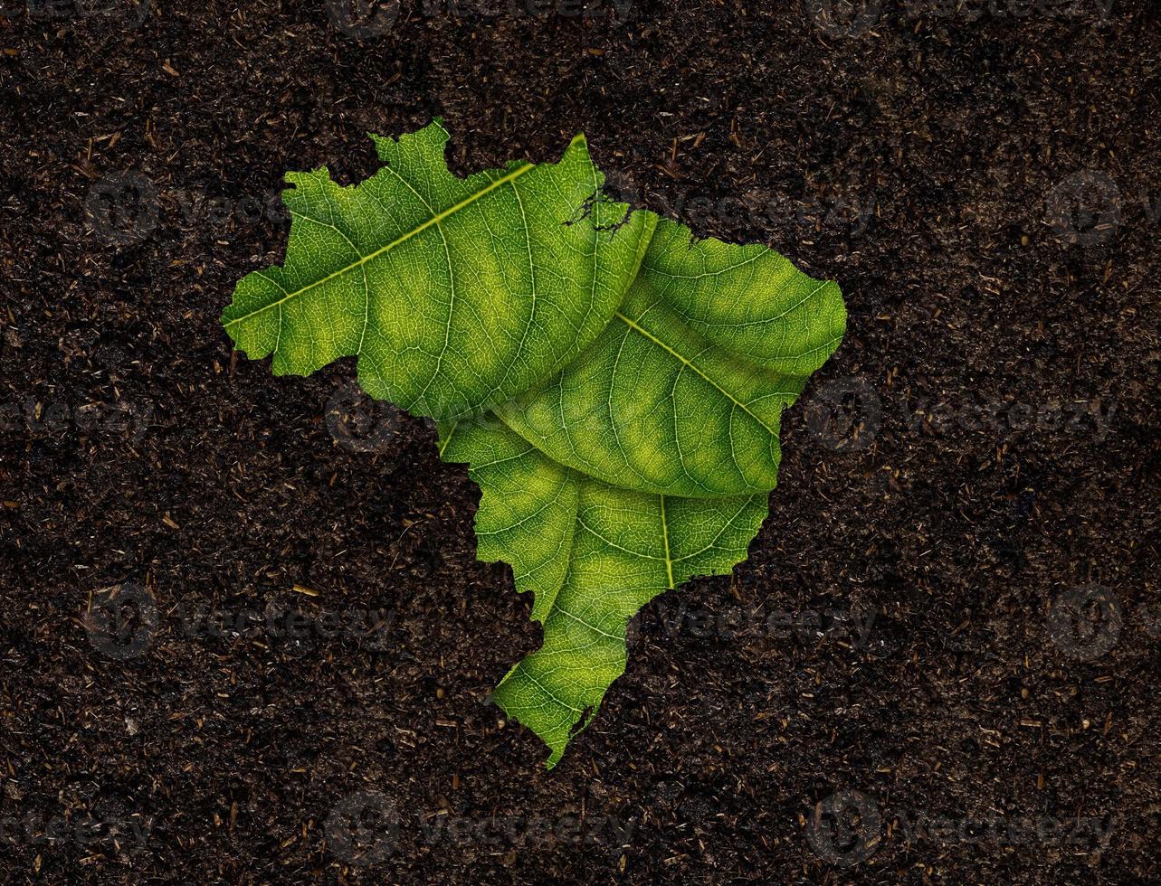 carte du brésil faite de feuilles vertes, concept écologie carte feuille verte sur fond de sol photo