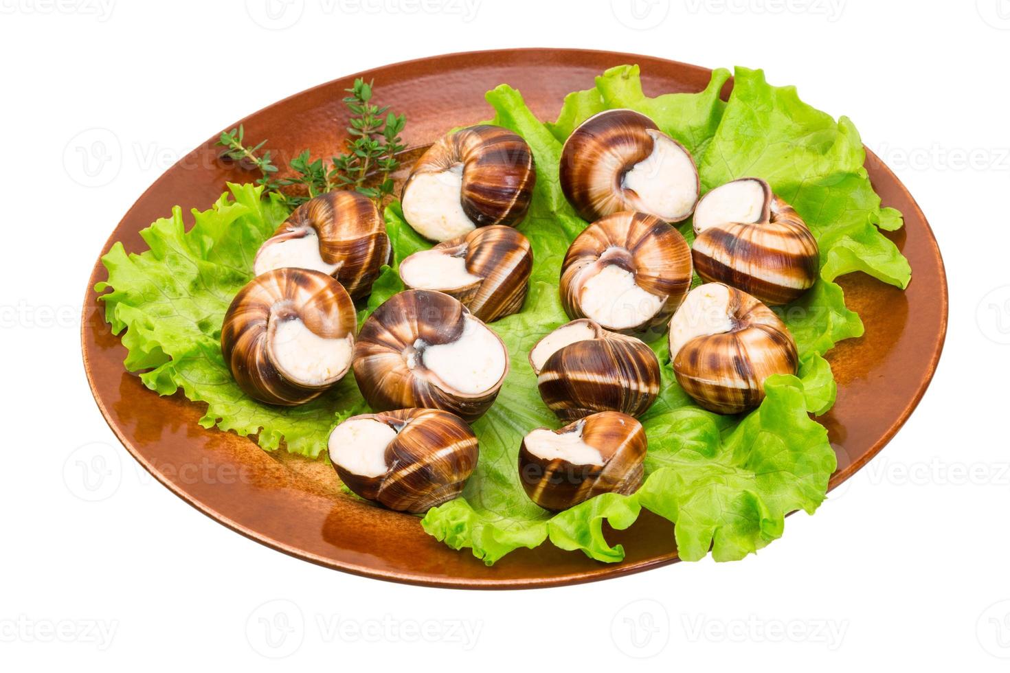 escargots escargots sur une assiette photo