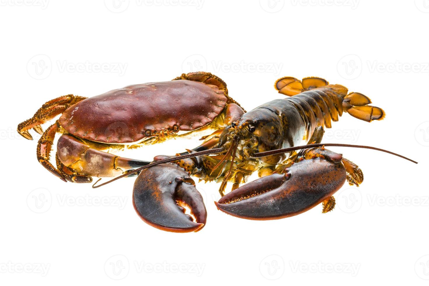 homard et crabe crus photo