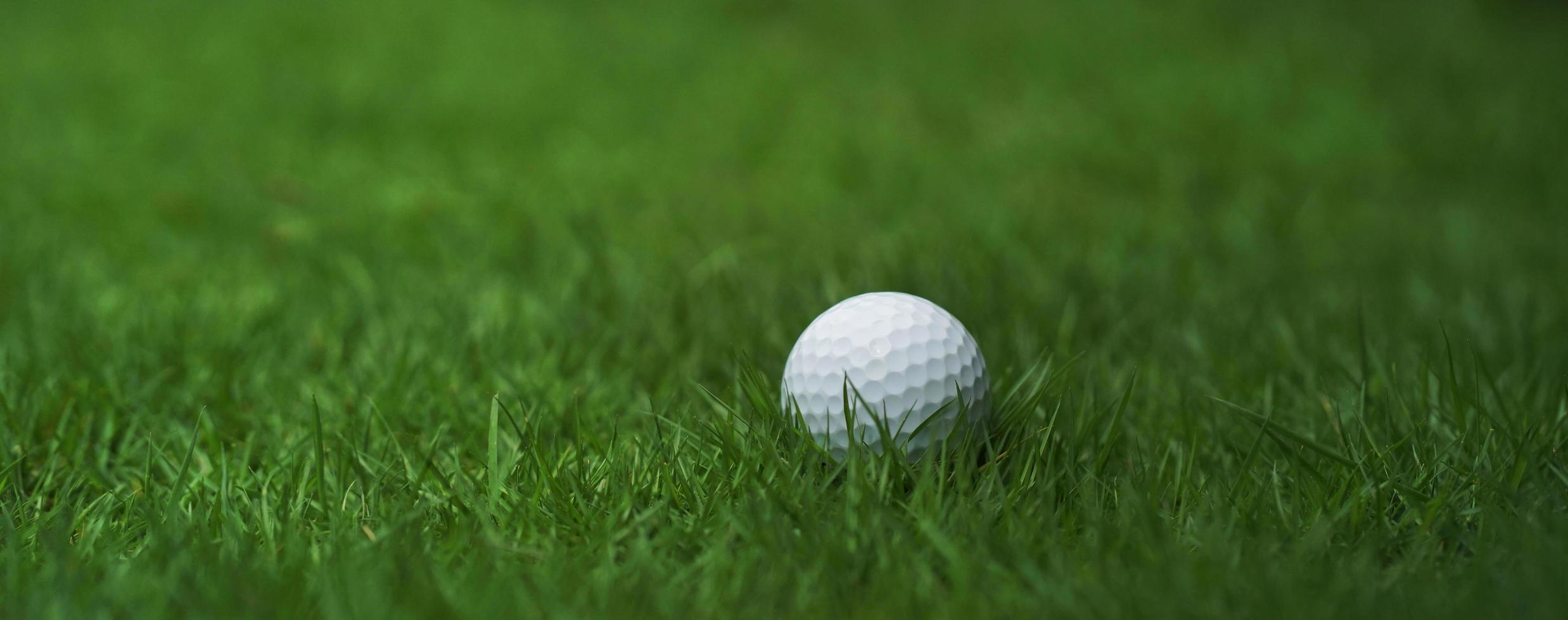 balle de golf sur fond d'herbe verte photo