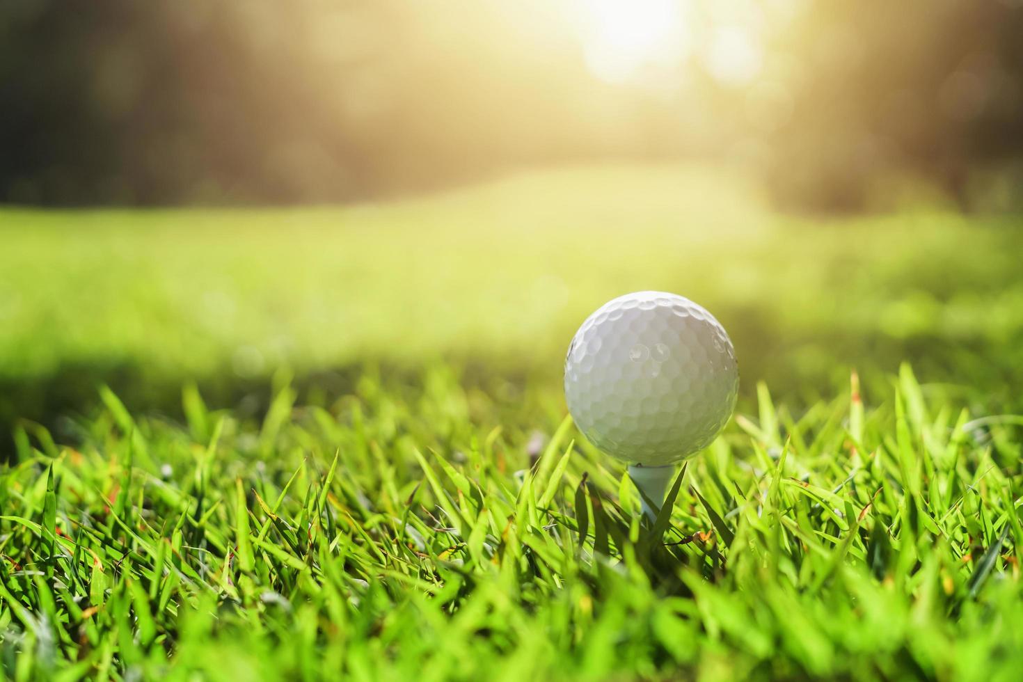 balle de golf sur l'herbe verte avec la lumière du soleil photo