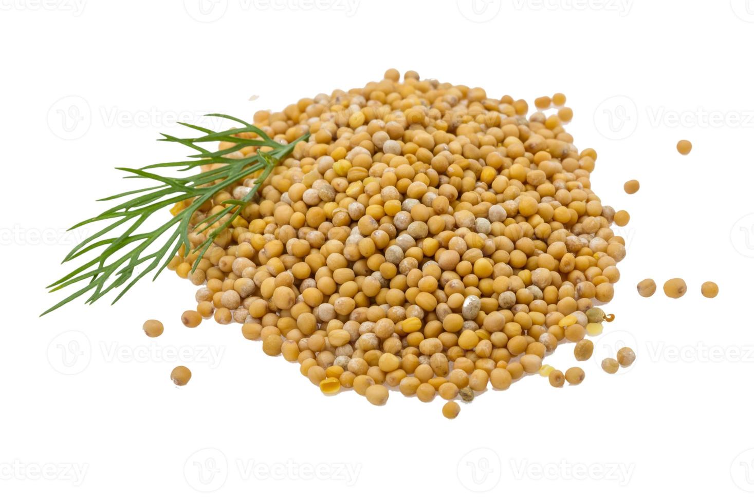 tas de graines de moutarde photo