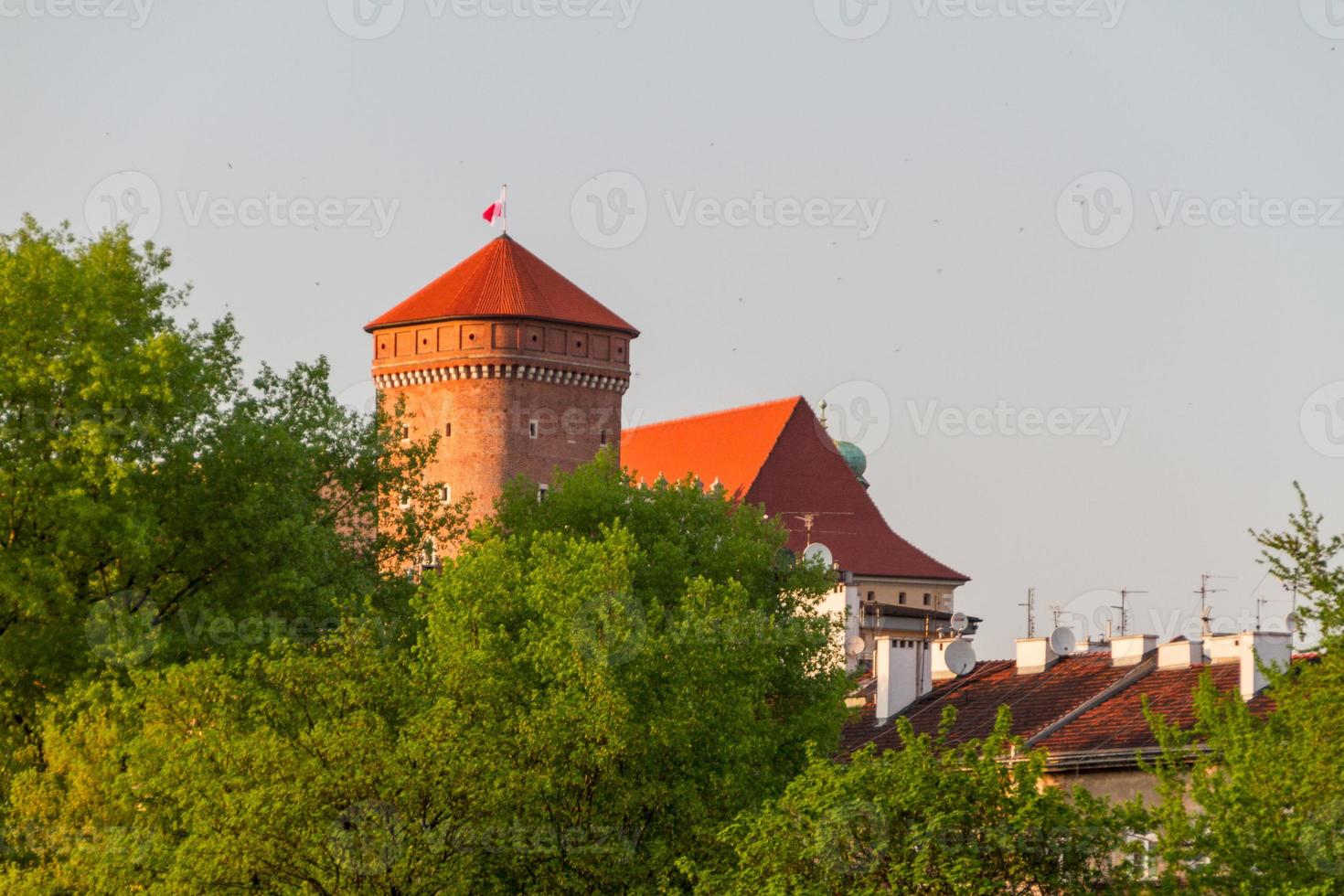 château royal de wawel, crarow photo