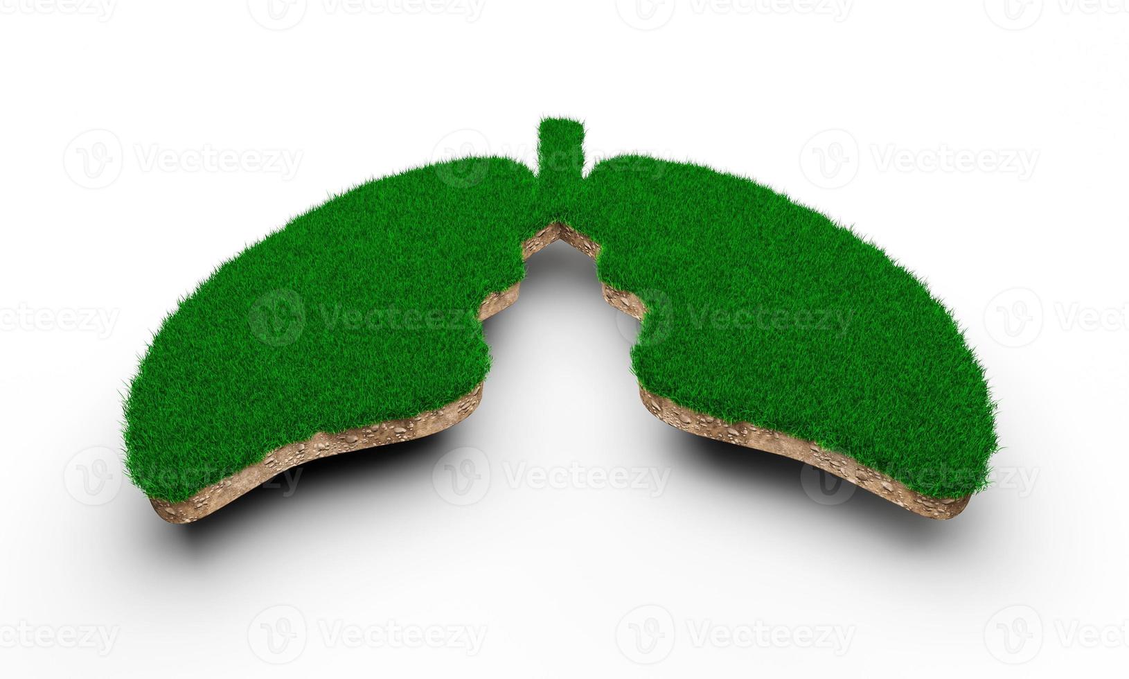 forme de poumons faite d'herbe verte et de section transversale de texture de sol rocheux avec illustration 3d photo