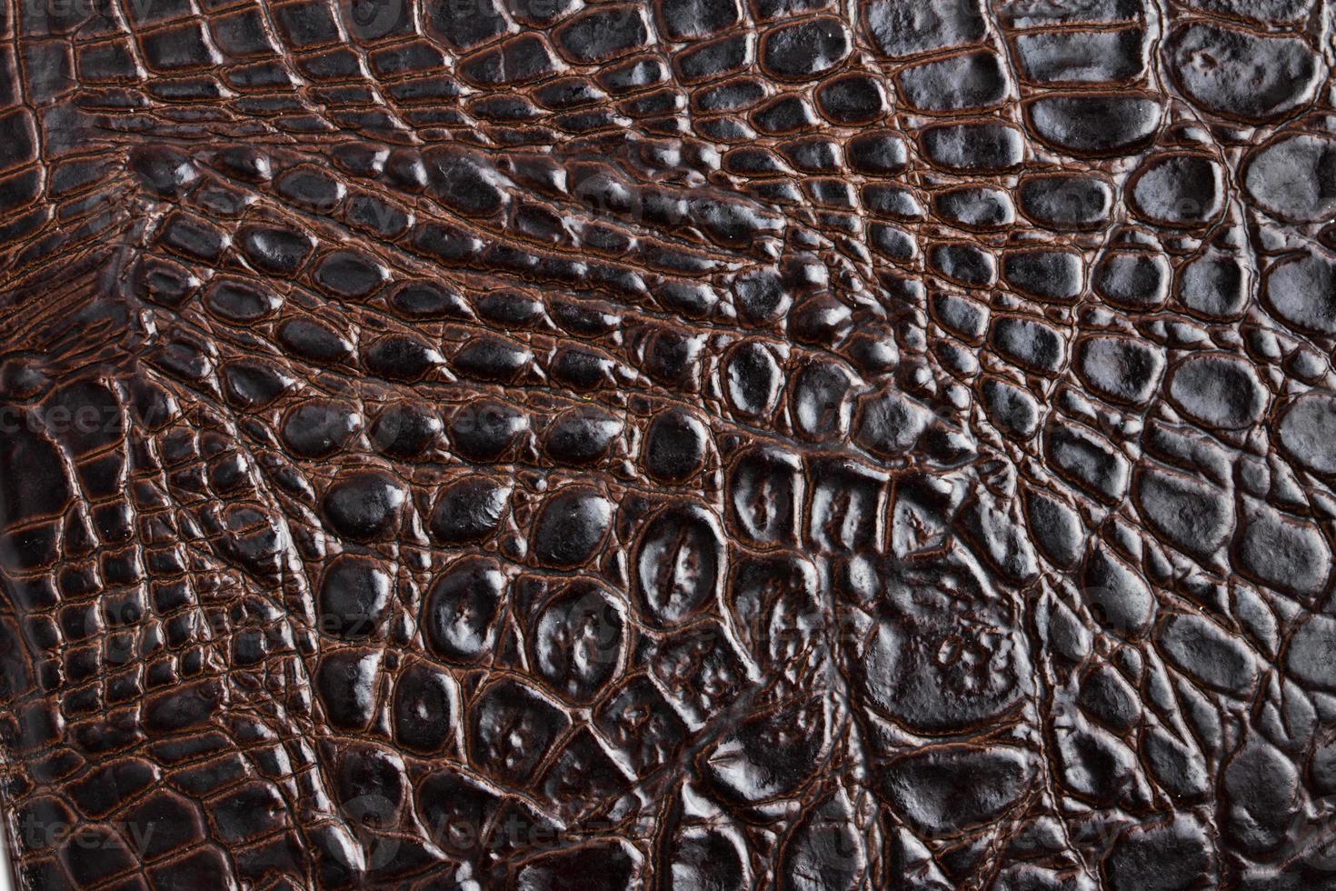 texture de peau de crocodile photo