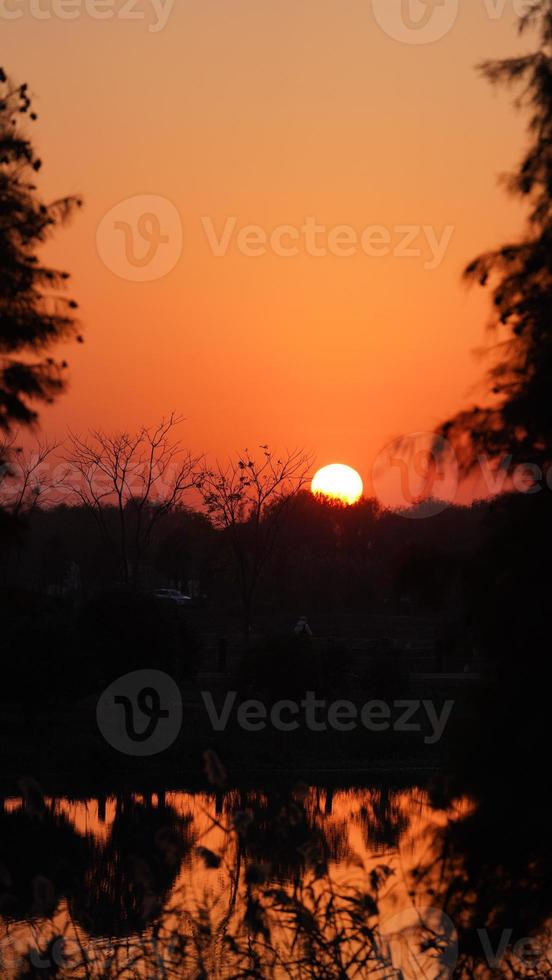 la belle vue sur le coucher de soleil dans la forêt avec la lumière du soleil chaude et colorée du coucher du soleil photo